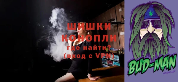 молекула духа Арсеньев