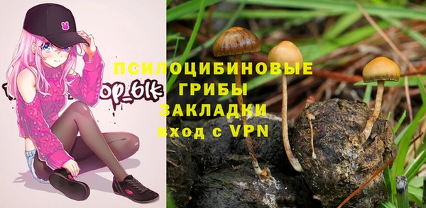 кокаин колумбия Алексин