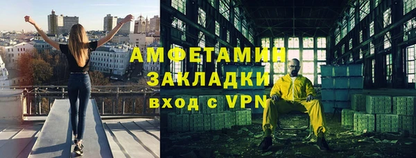 молекула духа Арсеньев