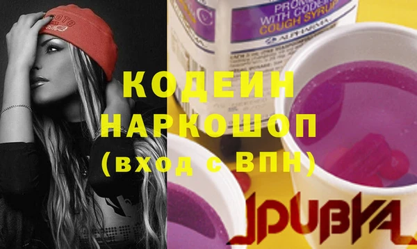 молекула духа Арсеньев