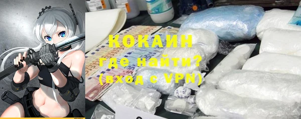 молекула духа Арсеньев