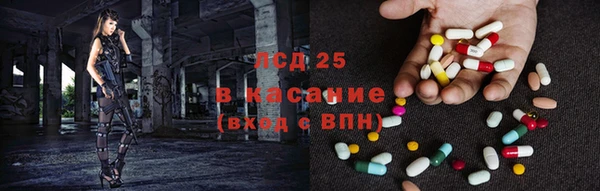 молекула духа Арсеньев