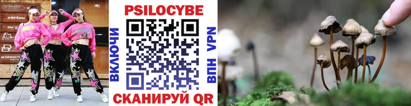 Псилоцибиновые грибы MAGIC MUSHROOMS  наркотики  Рыльск 