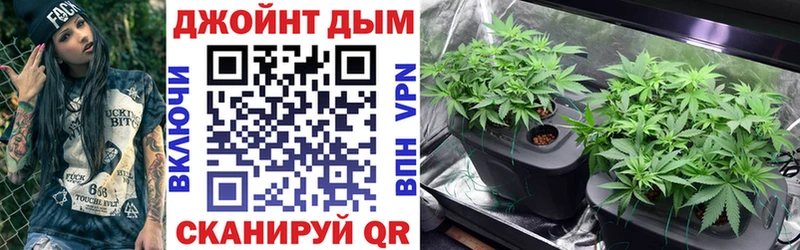 Бошки марихуана THC 21%  цены   Рыльск 